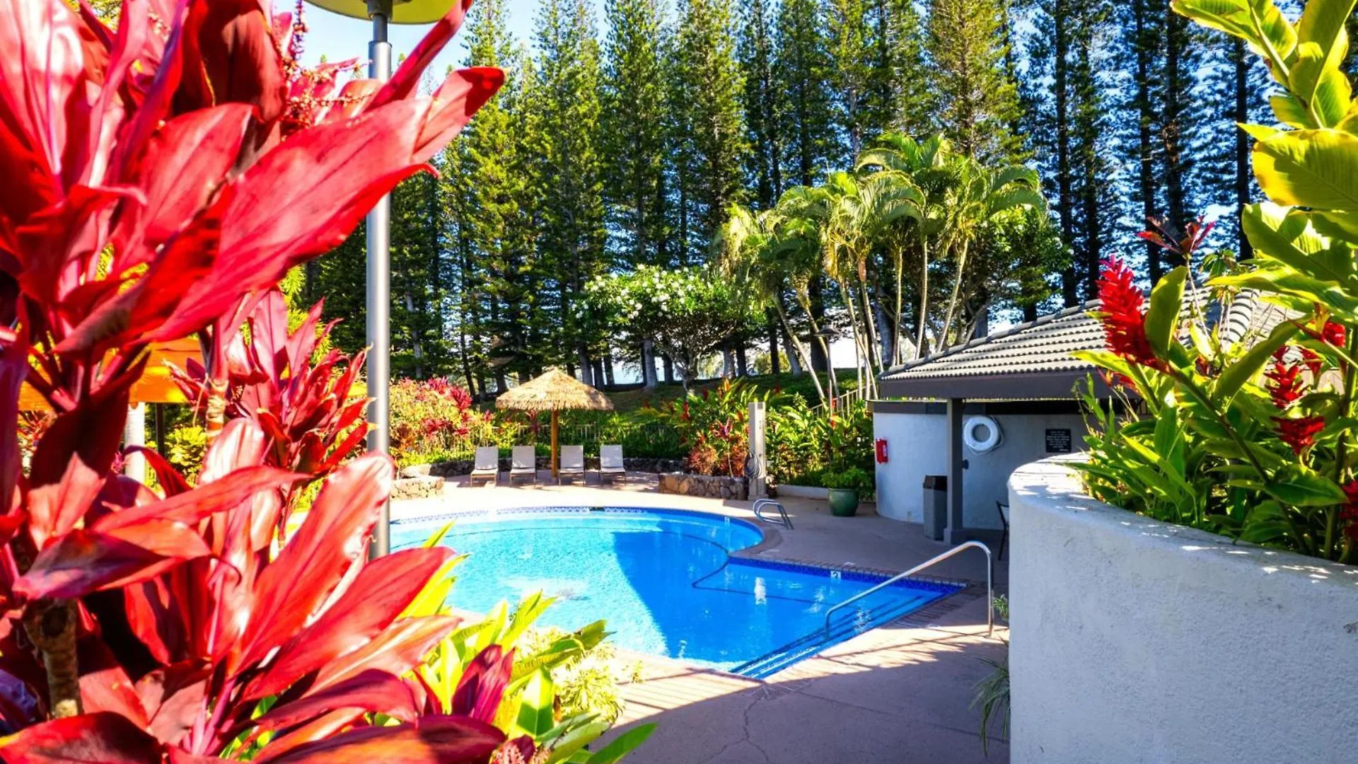 Kbm Resorts Free Car Kapalua Golf Villas Kgv-17P7 Enjoy Breathtaking Ocean Views 0*,